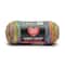 2 Pack Red Heart® Super Saver® Bitty Stripes™ Yarn